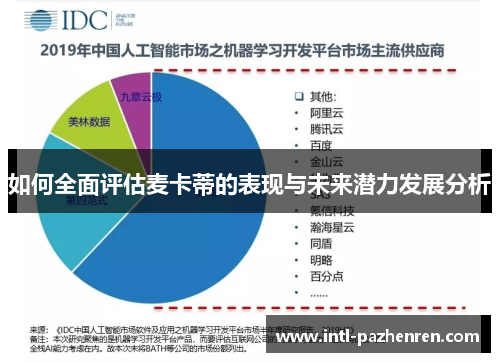 如何全面评估麦卡蒂的表现与未来潜力发展分析