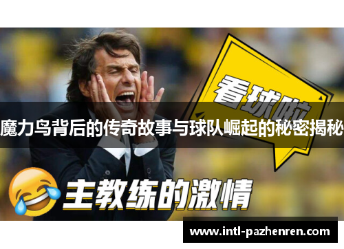 魔力鸟背后的传奇故事与球队崛起的秘密揭秘 魔力鸟背后的传奇故事与球队崛起的秘密揭秘